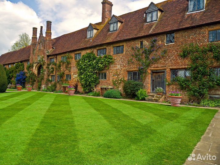 Рулонный газон с укладкой