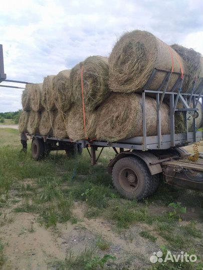 Продам сено в рулонах