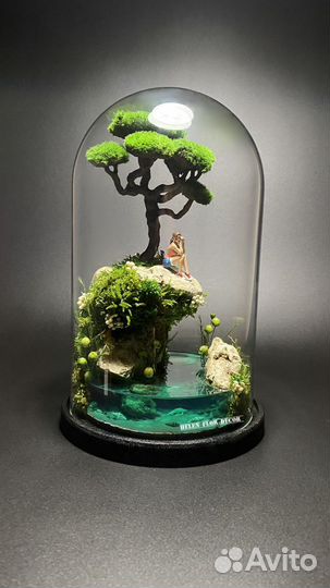 Моссариум - флорариум