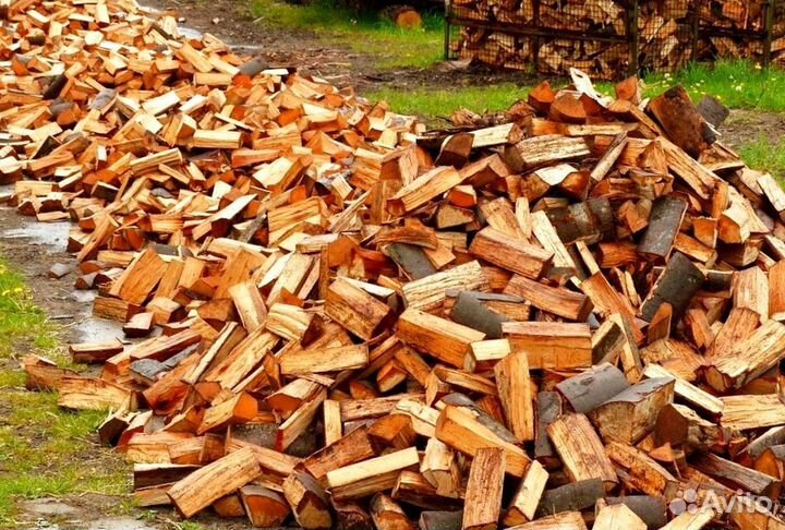 Дрова в СПБ
