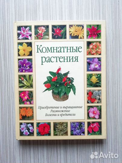 Энциклопедия Комнатные растения