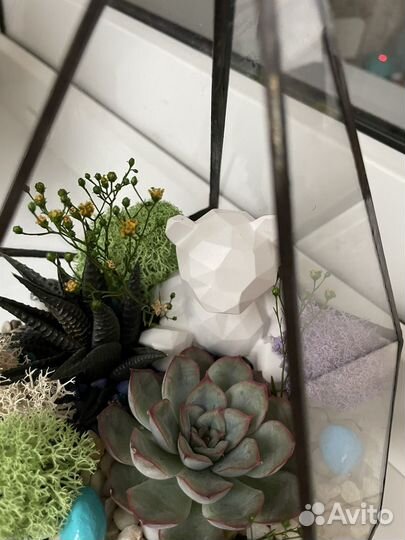 Флорариум с мишкой