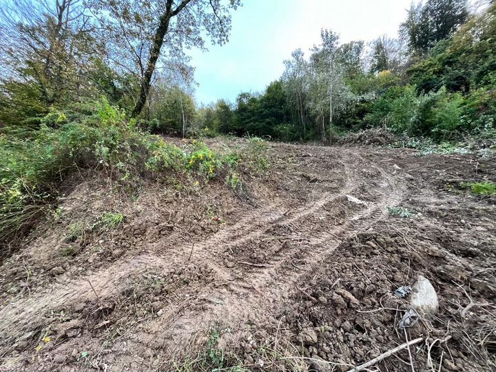 Участок 5,7 сот. (СНТ, ДНП)