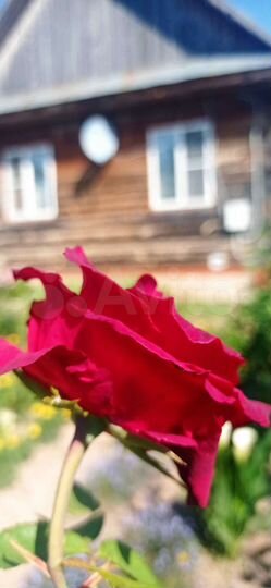 Дом 87,1 м² на участке 15 сот.