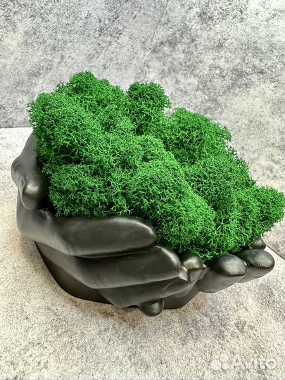 Кашпо руки со стабилизированным мхом