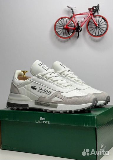 Кроссовки Lacoste premium