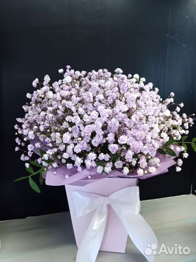 Гипсофила с доставкой