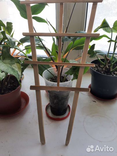 Опоры для растений