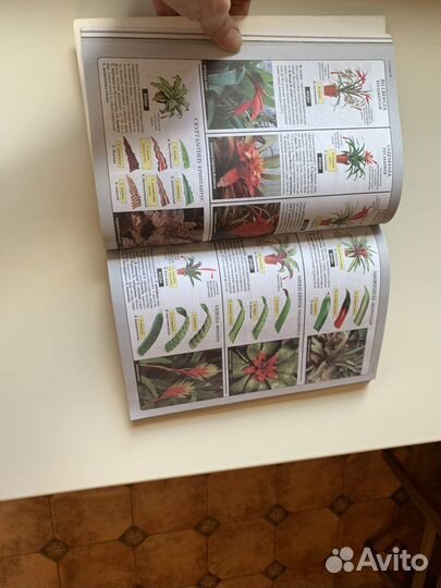 Книга Все о комнатных растениях