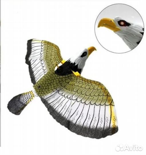 Орёл для дачи & сада