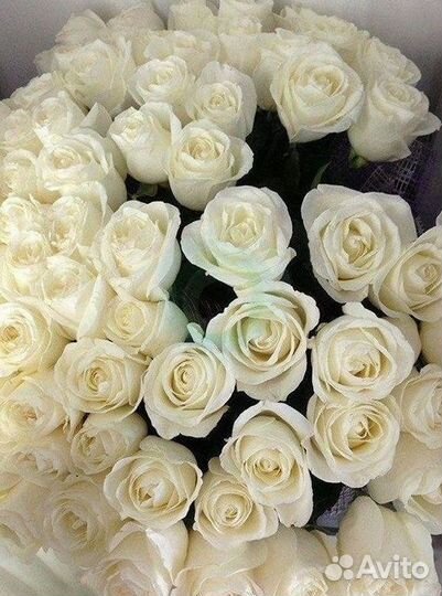 Розы Цветы Букеты 25 51 151 201 101 301 501 опт