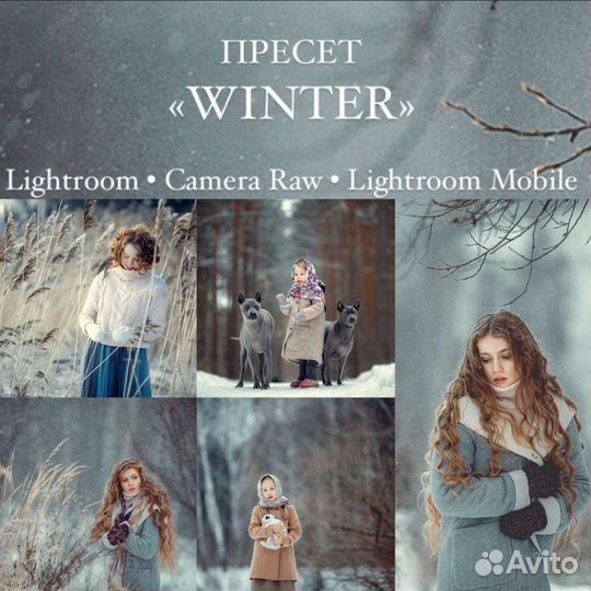 Анна Мельникова Пресет Winter