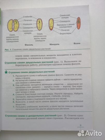 Учебник по биологии 6 класс В.В.Пасечник