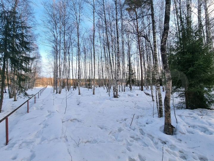Участок 1,3 га (ИЖС)