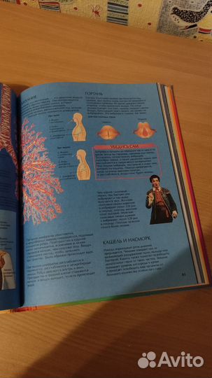 Энциклопедия