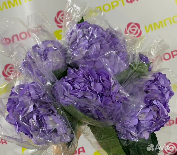 Гортензия и другие срезанные цветы оптом