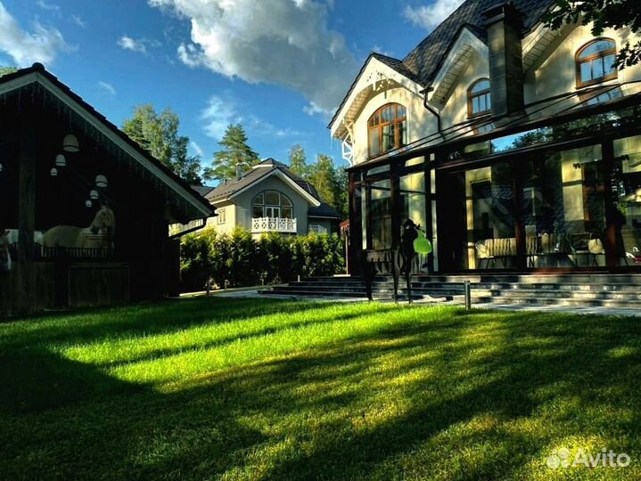 Рулонный газон