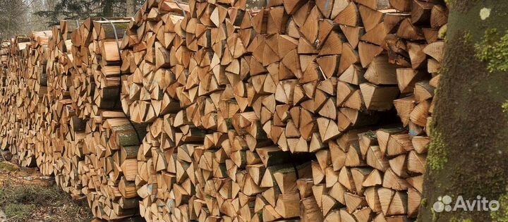 Дрова в печь