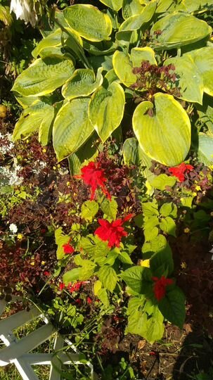 Дача 20 м² на участке 12 сот.