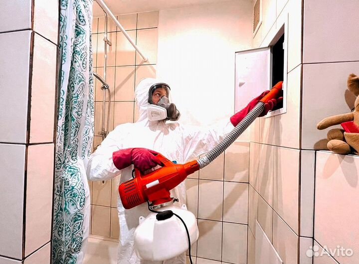 Уничтожение тараканов, клопов. Дезинфекция