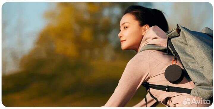 Портативная колонка Xiaomi Mi Outdoor Mini