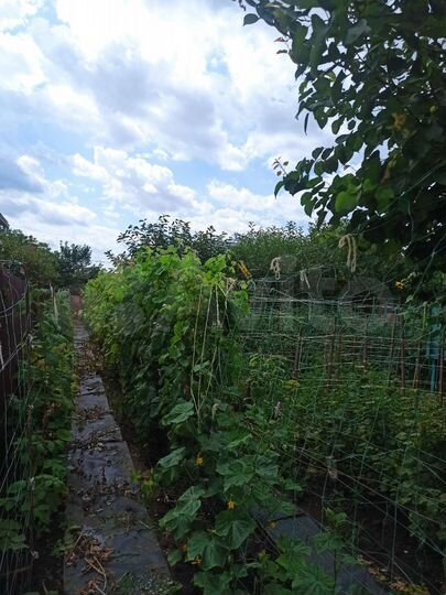 Дача 36 м² на участке 6 сот.