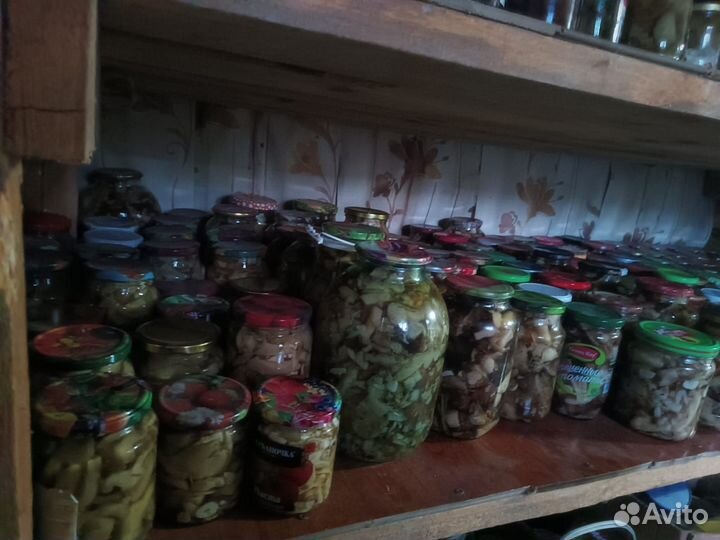 Грибы валуи и груздья