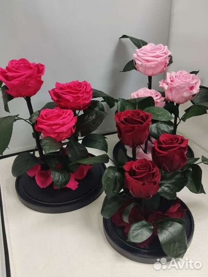 Роза в колбе оптом