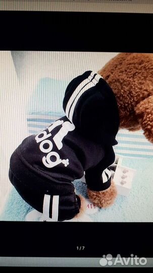 Куртка для собак мелких пород