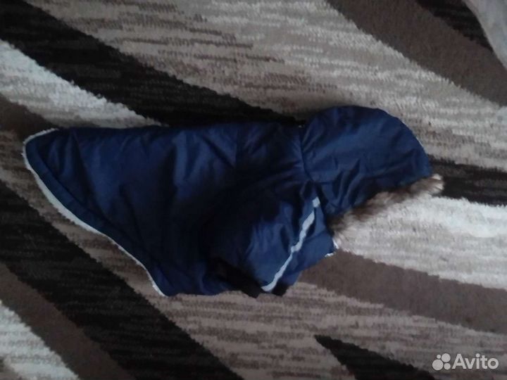 Одежда для маленьких собак