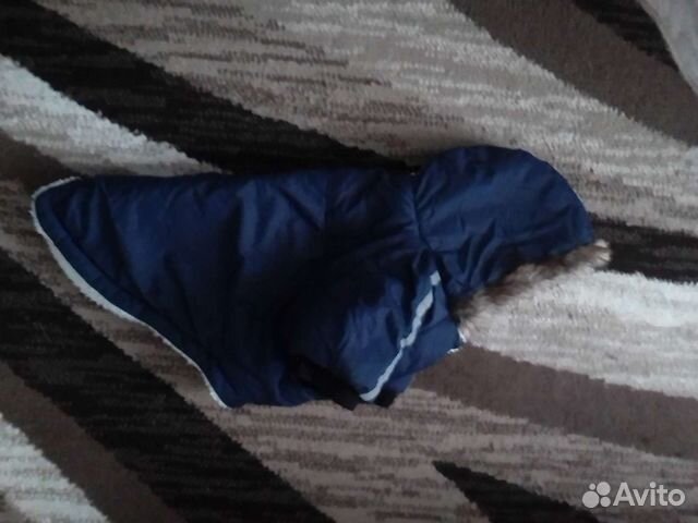 Одежда для маленьких собак