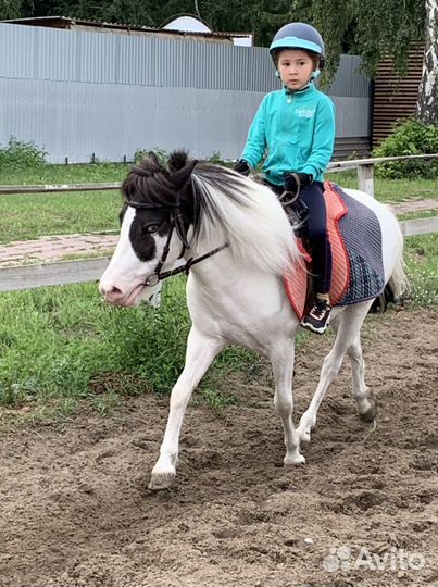 Верховая езда, фотосессии, пони-клуб