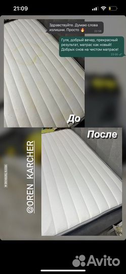 Моющий пылесос профессиональный Karcher