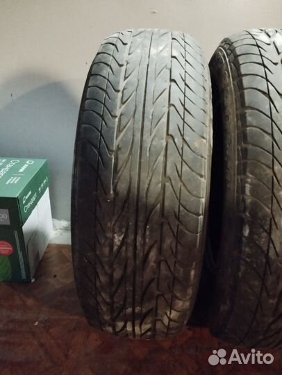 Dunlop Sport Classic 175/70 R13