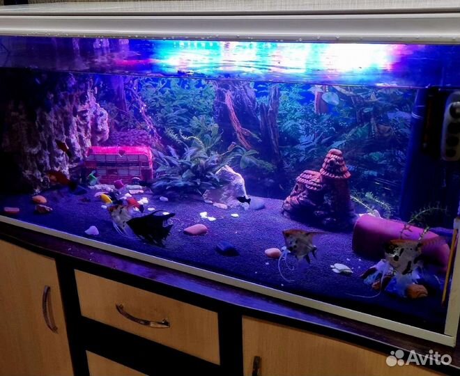 Аквариум
