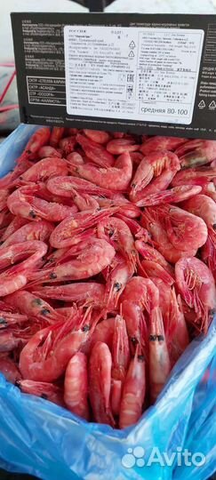 Креветка магаданская