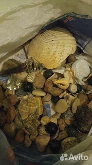 Редкие камни и ракушки с моря,компрессор,фильтры