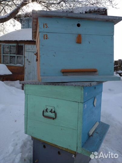 Ульи для пчел