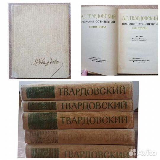 Цветаева,Ахматова,Некрасов,Тютчев,Твардовск,Есенин