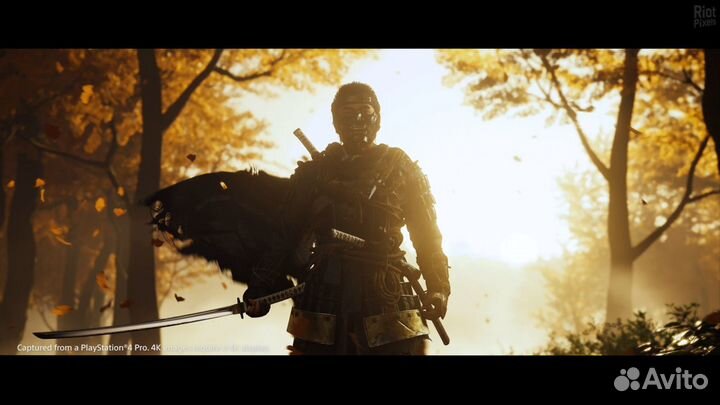 Призрак Цусимы (Ghost of Tsushima) (PS4)