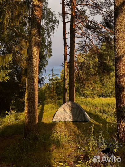 Sup сплав выходного дня по реке Оредеж сапборд