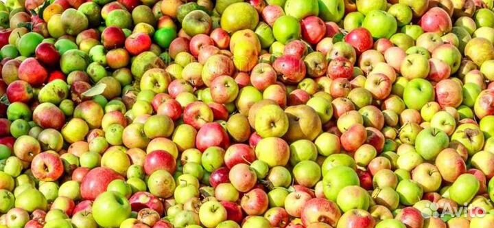 Фруктовый уксус органический