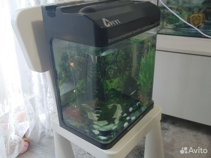 Аквариум с рыбками