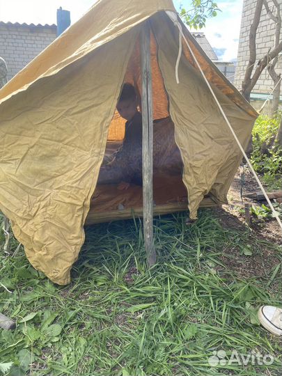 Палатка брезентовая одноместная