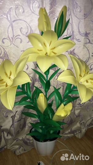 Лилии в горшке