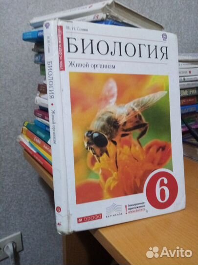 Биология сонин 6 класс