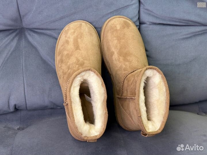 Угги Женские Ugg Classic Mini II 