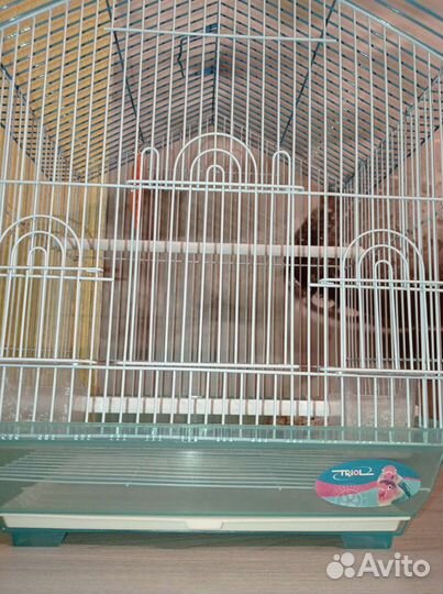 Клетка для волнистого попугая