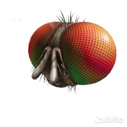 Freaky fly код роблокс