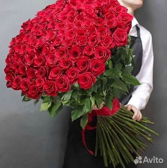 Высокие розы Гигантские розы 110